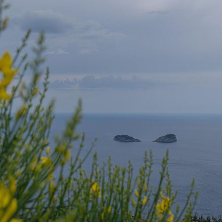 Villa La Pace Sant'Agnello Exterior foto
