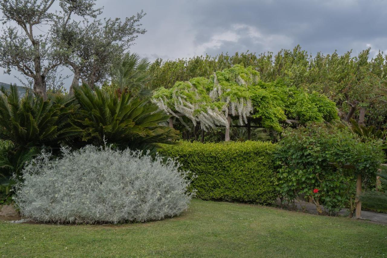 Villa La Pace Sant'Agnello Exterior foto