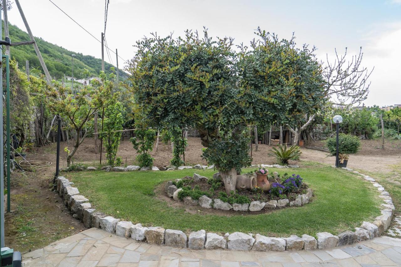 Villa La Pace Sant'Agnello Exterior foto